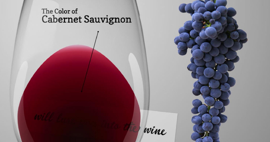  вино, полнотелое вино, сочетание с едой, Пинотаж, характеристики вина